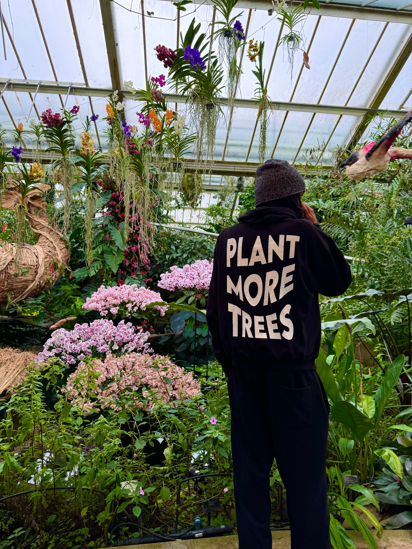 Plant More Trees - Organic Cotton Hoodie